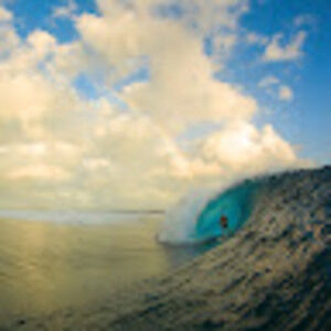 Meet your Posher, Finn